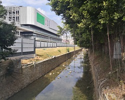 工程建設環(huán)境對城市生態(tài)會有什么影響？